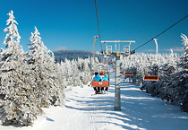 Spadł śnieg - wznowienie pracy Winterpol