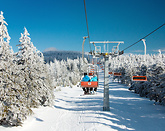 Spadł śnieg - wznowienie pracy Winterpol